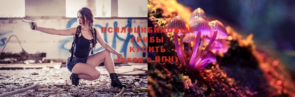 наркотики Новозыбков