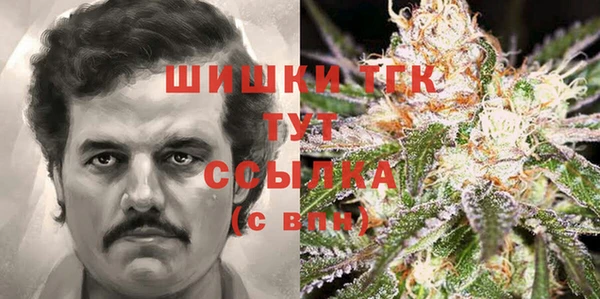 ПСИЛОЦИБИНОВЫЕ ГРИБЫ Новокубанск