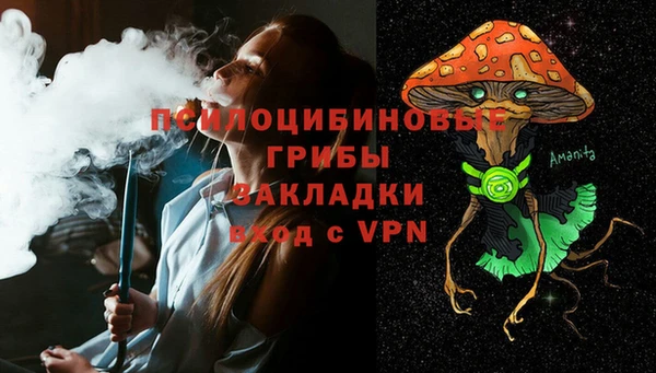 ПСИЛОЦИБИНОВЫЕ ГРИБЫ Новокубанск