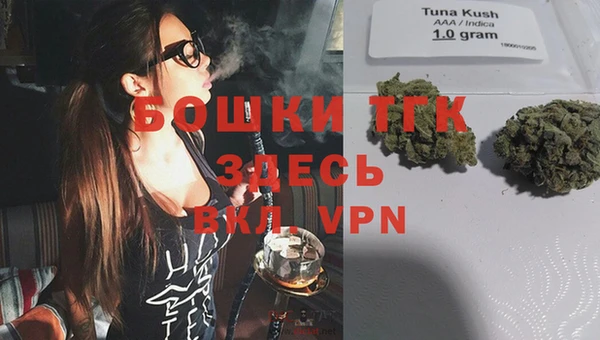 ПСИЛОЦИБИНОВЫЕ ГРИБЫ Новокубанск