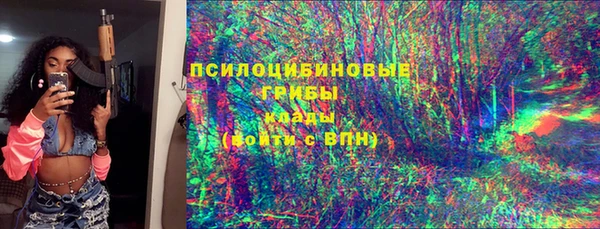 ПСИЛОЦИБИНОВЫЕ ГРИБЫ Новокубанск