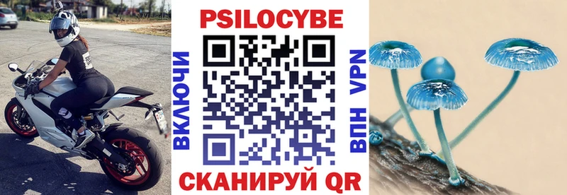 Галлюциногенные грибы Cubensis  Купить закладки  Нахабино 